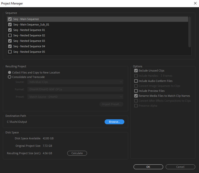 Premiere Pro Project Manager Interface Autokroma