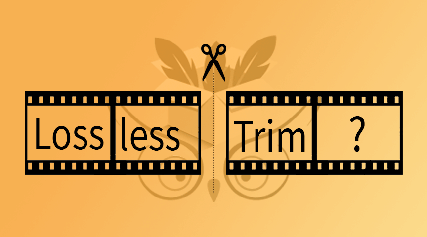 Losslessly Trim a Video Without Encoding