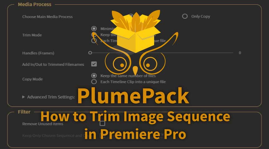 How to trim your Image Sequence in Adobe Premiere Pro | PlumePack for ...