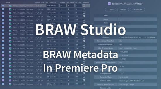 BRAW Metadata in Premiere Pro : Visualize and Organize