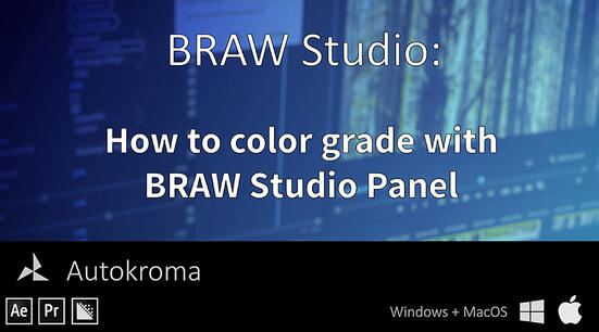 BRAW Studio YouTube short tutorials series