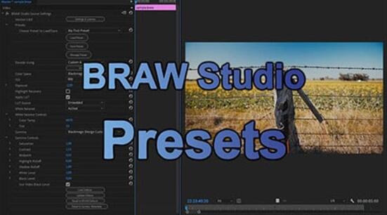 The BRAW Studio Presets
