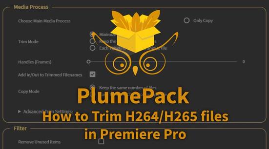 How to Lossless trim your AVC / H264 and HEVC / H265 files in Premiere Pro