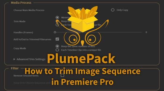 How to trim your Image Sequence in Adobe Premiere Pro